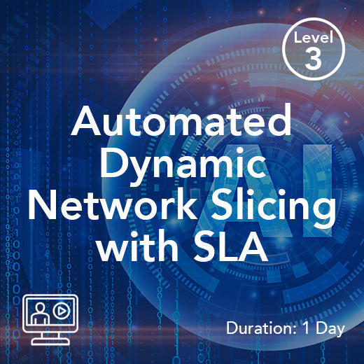 Automated Dynamic Network Slicing with SLA