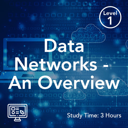 Data Networks – An Overview (On-Demand)