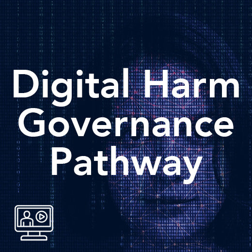 Digital Harm Governance Pathway