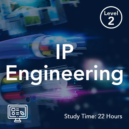 IP Engineering (On-Demand)