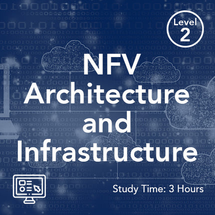 NFV Architecture and Infrastructure (On-Demand)