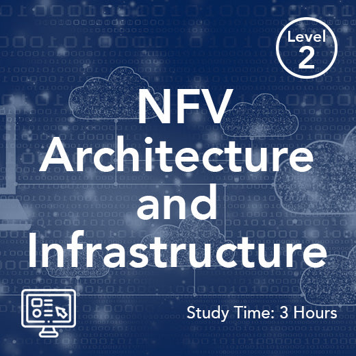 NFV Architecture and Infrastructure (On-Demand)