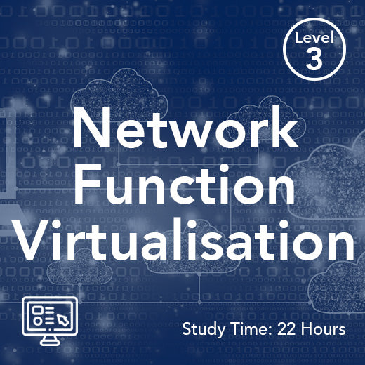 Virtualisierung von Netzwerkfunktionen (NFV) (On-Demand)