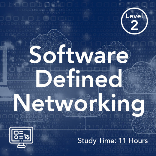 Software Defined Networking (SDN) (On-Demand)