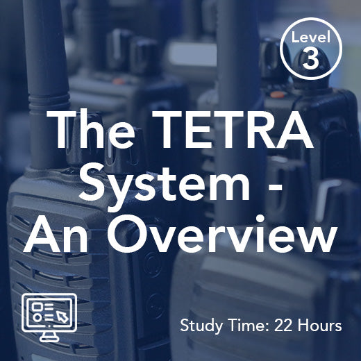 The TETRA System - An Overview (On-Demand)