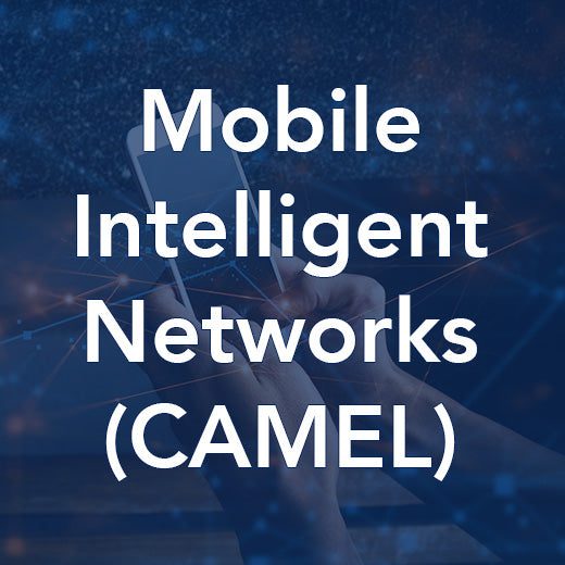 Mobile Intelligent Networks (CAMEL)