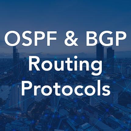 OSPF ve BGP Yönlendirme Protokolleri