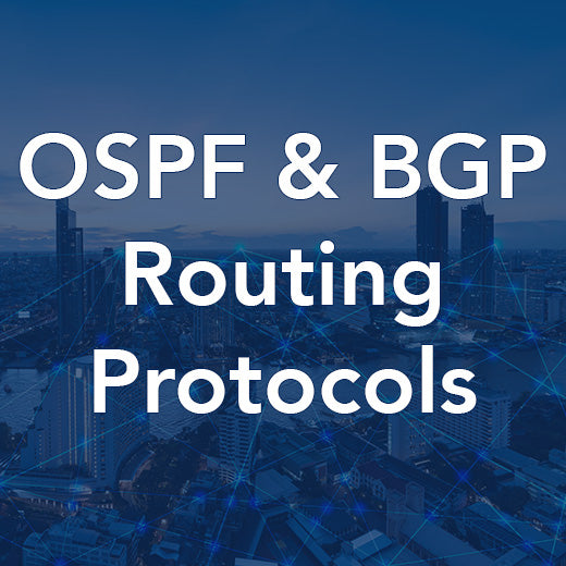 Protocoles de routage OSPF et BGP