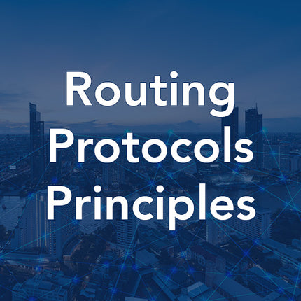 Routing Protocol Principles