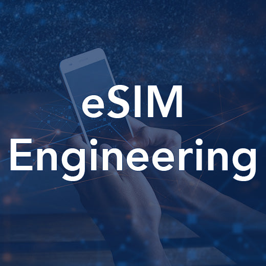 Esim Course eSIM Engineering – Wray Castle